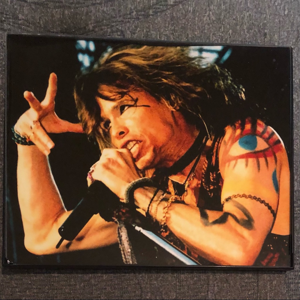 Steven TylerAerosmith 8x10 Framed Photo Crazy